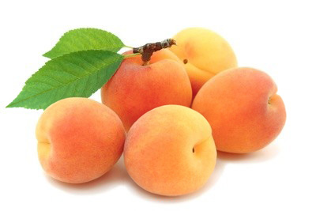 APRICOT