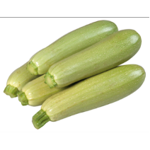 ZUCCHINI