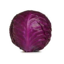 RED CABBAGE