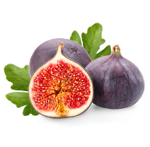 FIG